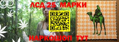 молекула духа Заводоуковск