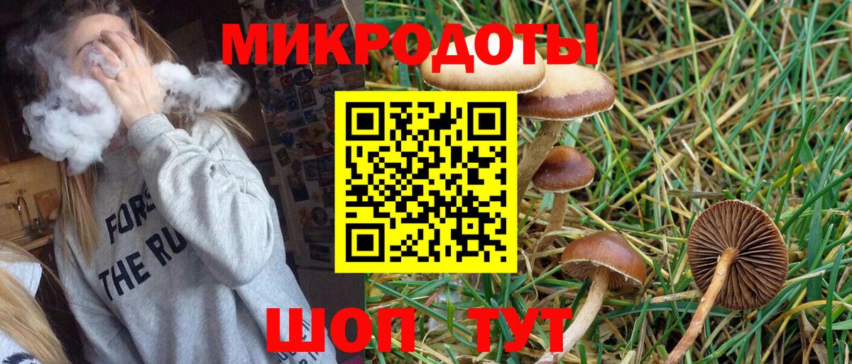 где можно купить наркотик  Галлюциногенные грибы Psilocybine cubensis  Арсеньев  Вход с VPN  Галлюциногенные грибы Magic Shrooms 
